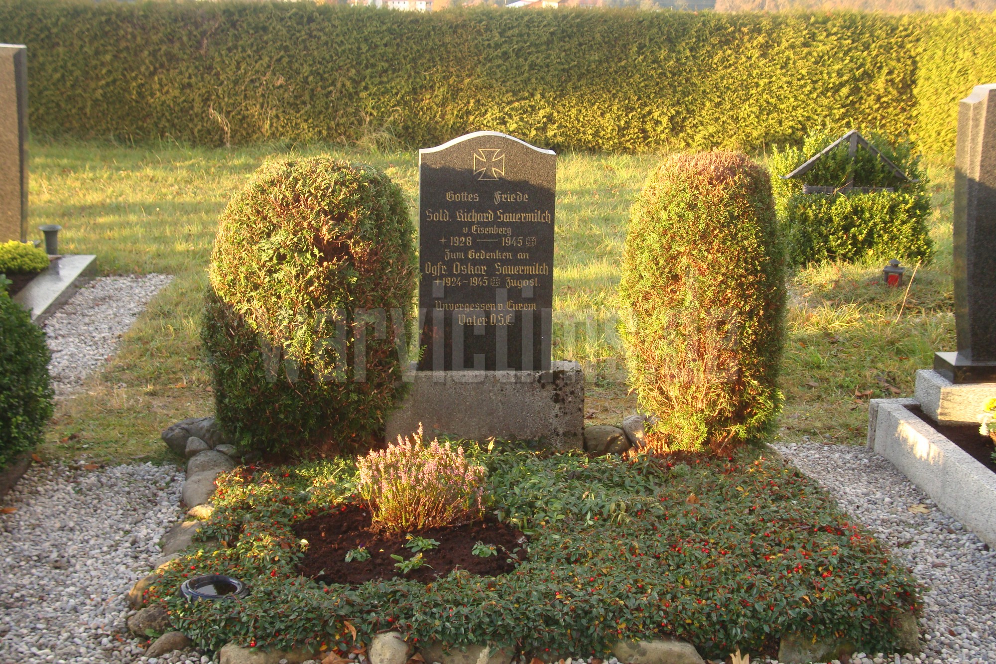 Rückholz